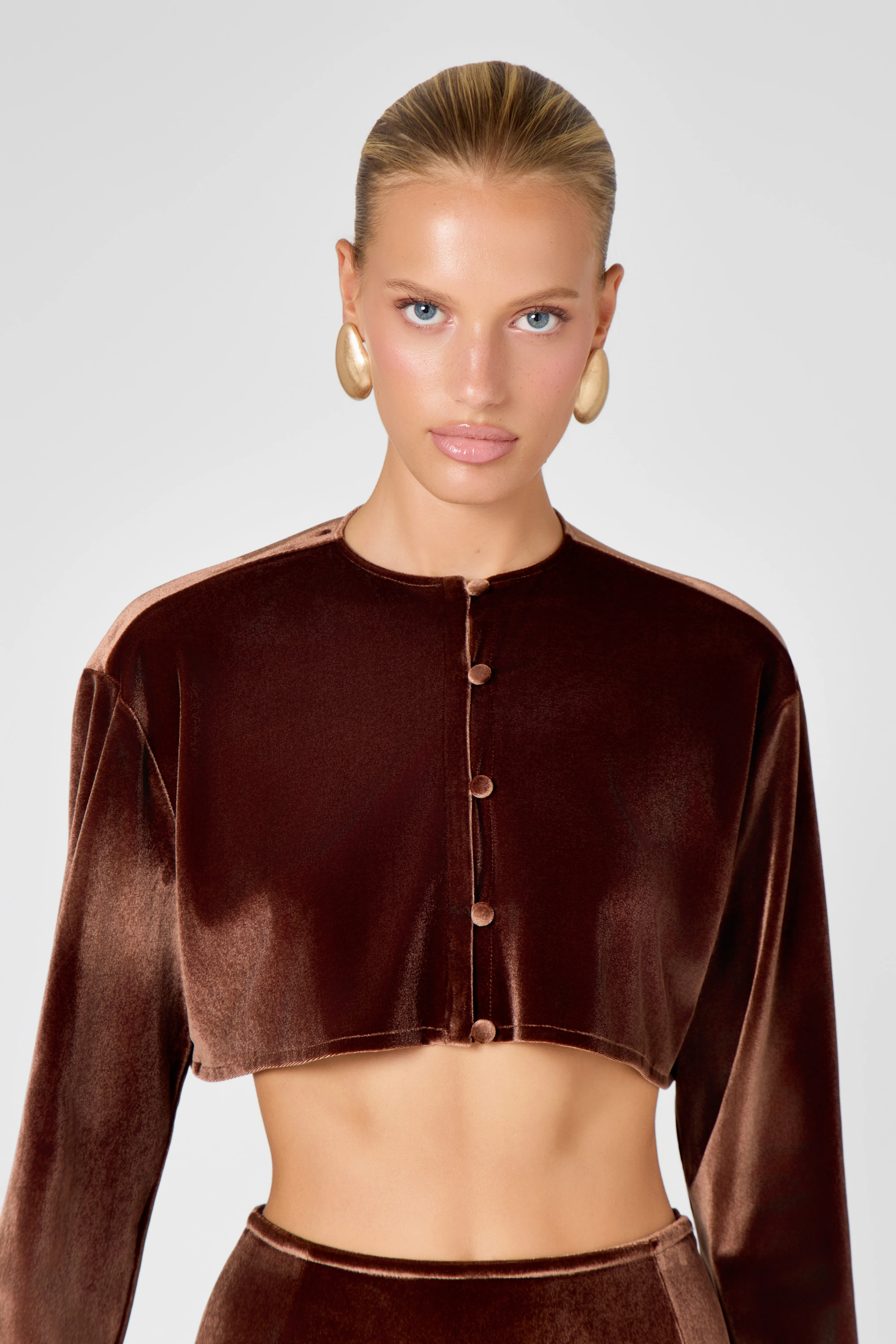 Chocolate Velvet Blouse - Image 3